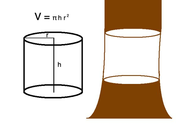 El volumen de un cilindro es igual a pi multiplicado por la altura multiplicada por el radio al cuadrado.