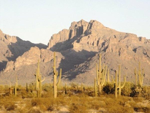 アメリカ南西部の砂漠の盆地から険しい山々がそびえ立っています。