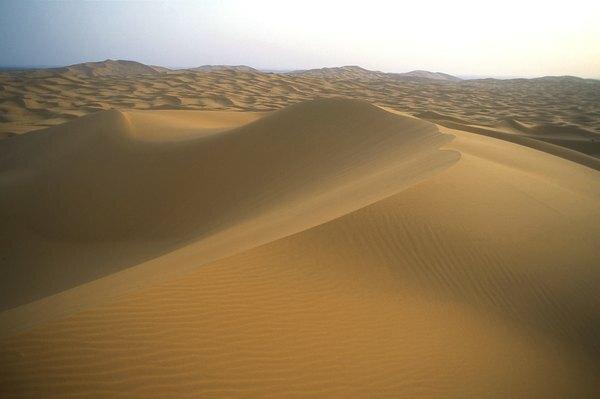 Saharská poušť byla kdysi tropickým rájem.