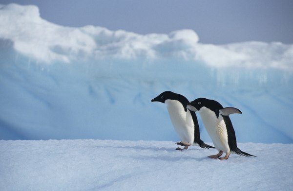 南半球の高緯度地域は、南極圏と南極の間にあります。