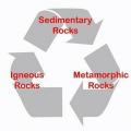 Como se formam as rochas sedimentares orgânicas?