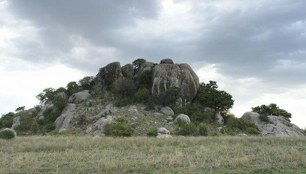 Landformer af en savanne