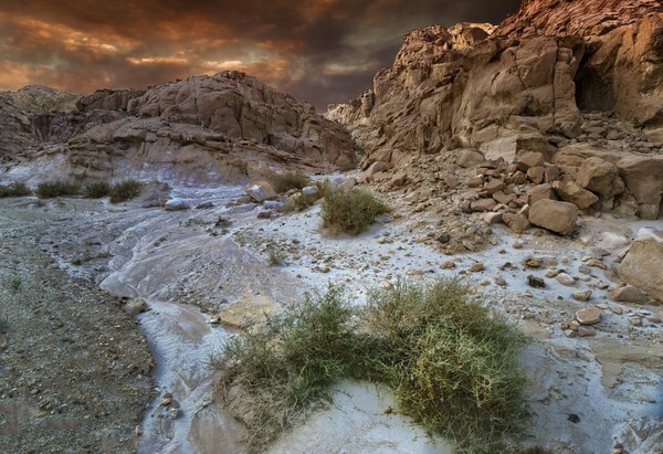 Negevská poušť pokrývá více než polovinu území v Izraeli
