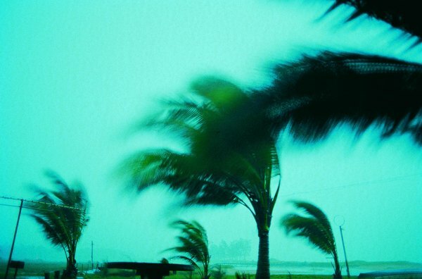 Uraganele sunt numite cicloni tropicali