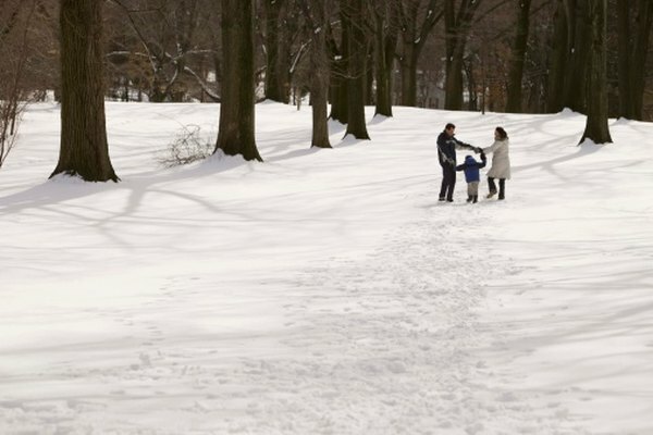 Mengumpulkan salju dapat menyatukan kesenangan dan sains.