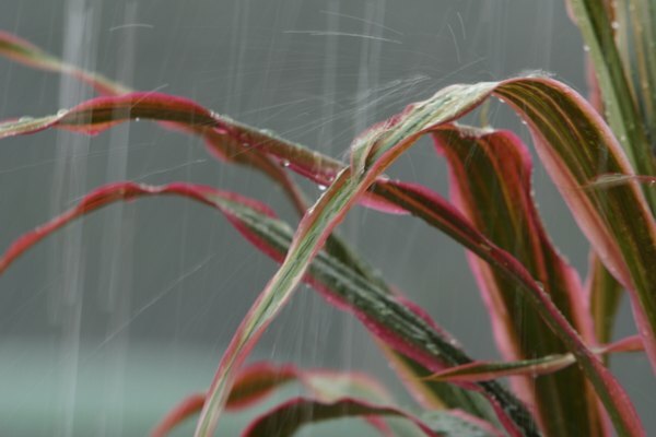 Vandens kokybę taip pat kenkia oro tarša per rūgštus lietus.