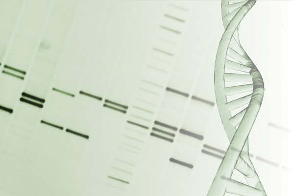 पांच प्रकार के जीन स्प्लिसिंग तंत्र
