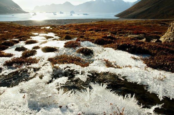Permafrost en Scoresby Sound, Groenlandia