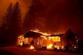 Trump skyllde skogsförvaltningen för Kaliforniens dödliga bränder - men han har fel