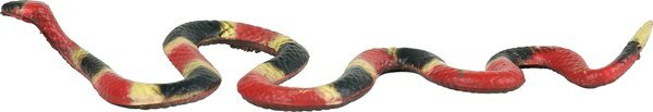 Il serpente corallo orientale ha un distinto motivo a strisce rosso-giallo-nero.