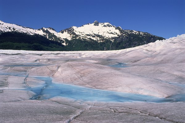 Batuan yang ditinggalkan oleh gletser tidak cocok untuk kelangsungan hidup organisme.