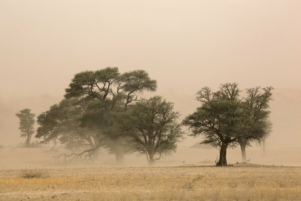 Fuerte tormenta de polvo en el desierto de Kalahari, Sudáfrica